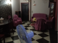 shk-llbyaa-fy-zhraaa-mdynh-nsr-small-3