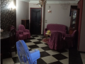 shk-llbyaa-fy-zhraaa-mdynh-nsr-small-2