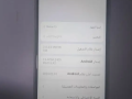 shaomy-rydmy-13-small-0