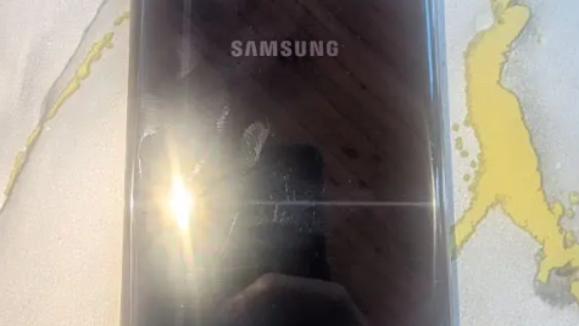 samsong-s10-bls-big-2