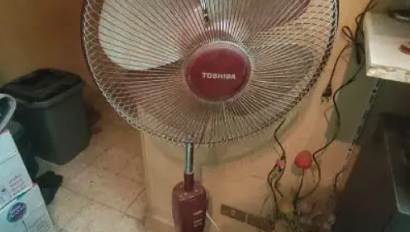 mrohh-toshyba-big-0