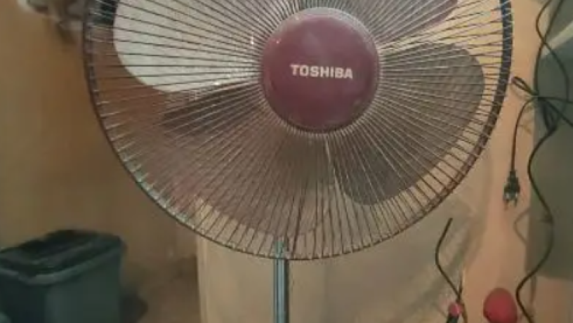 mrohh-toshyba-big-1