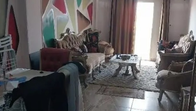 shkh-llbyaa-tshtyb-altra-loks-3ghrf-bsharaa-ythrb-mn-alkoyry-big-10