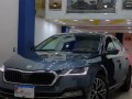 skoda-a8-stil-bels-2022-small-2