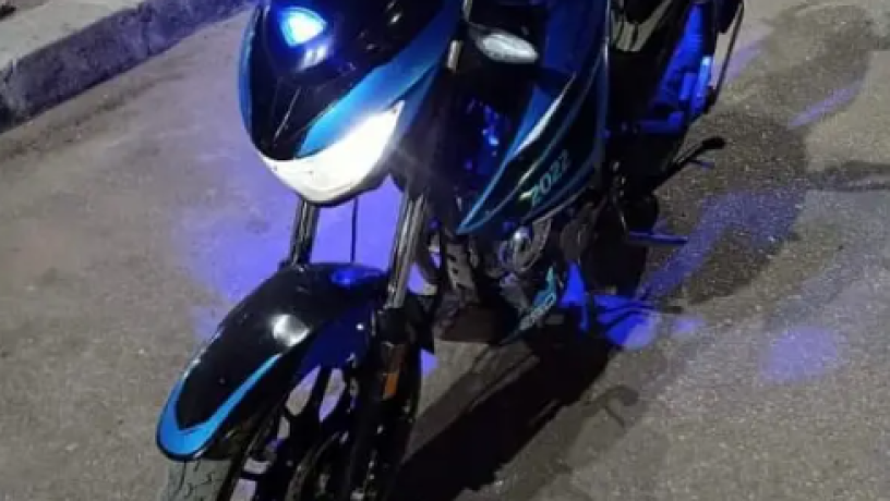 hogan-l250-big-0
