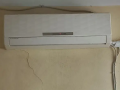 tkyyf-frysh-2-25-hsan-small-0