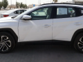 hyonday-tosan-brymyom-16-modyl-2025-small-2