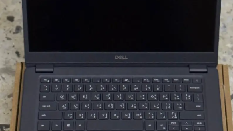 dyl-latytyod-5480-big-0