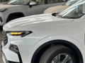 ford-tyrytory-2025-ambanty-small-1