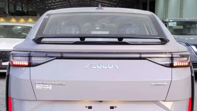 dong-fng-shayn-2025-dongfeng-shine-2025-big-2