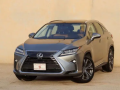 lkzs-rx350-2019-lexus-rx350-2019-small-1