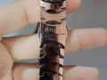 saaa-rado-small-1