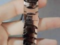 saaa-rado-small-1
