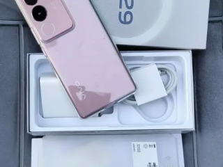 فيفو v29
